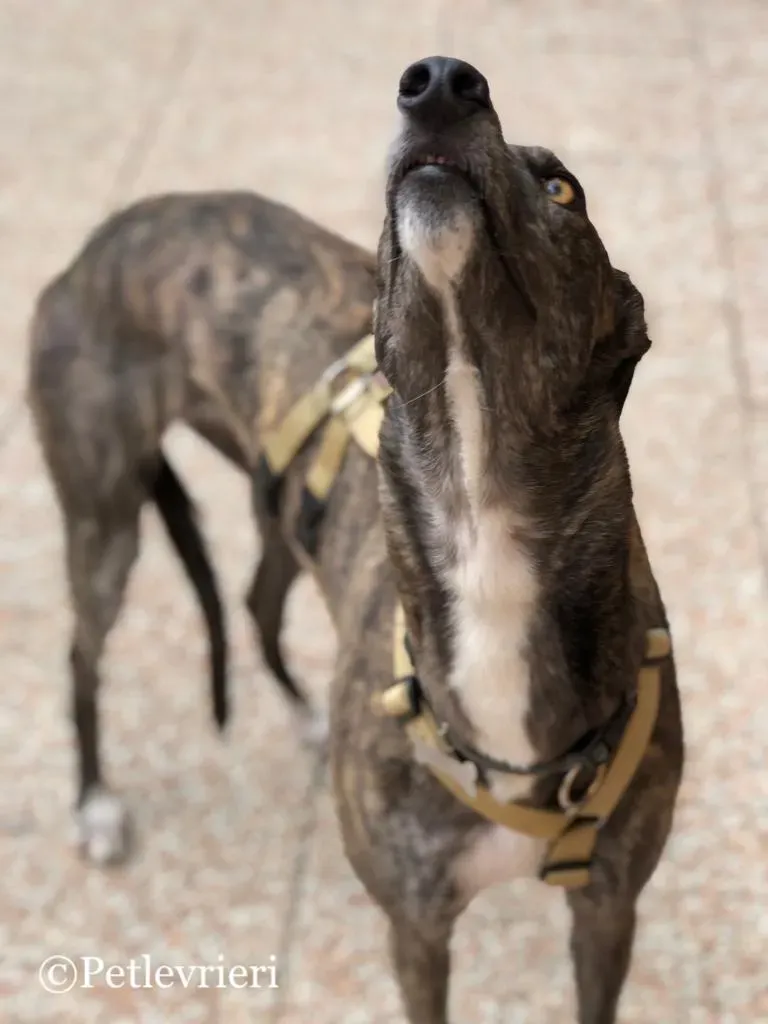 WhatsApp Image 2019 05 04 at 12.33.092