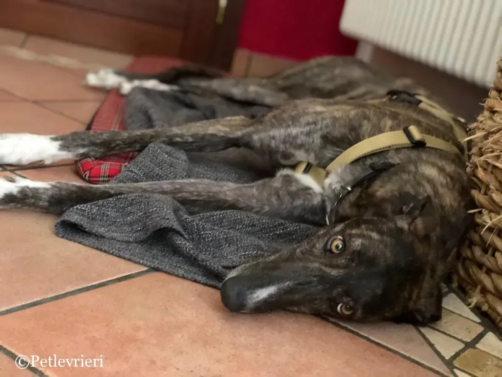 WhatsApp Image 2019 05 04 at 12.33.093