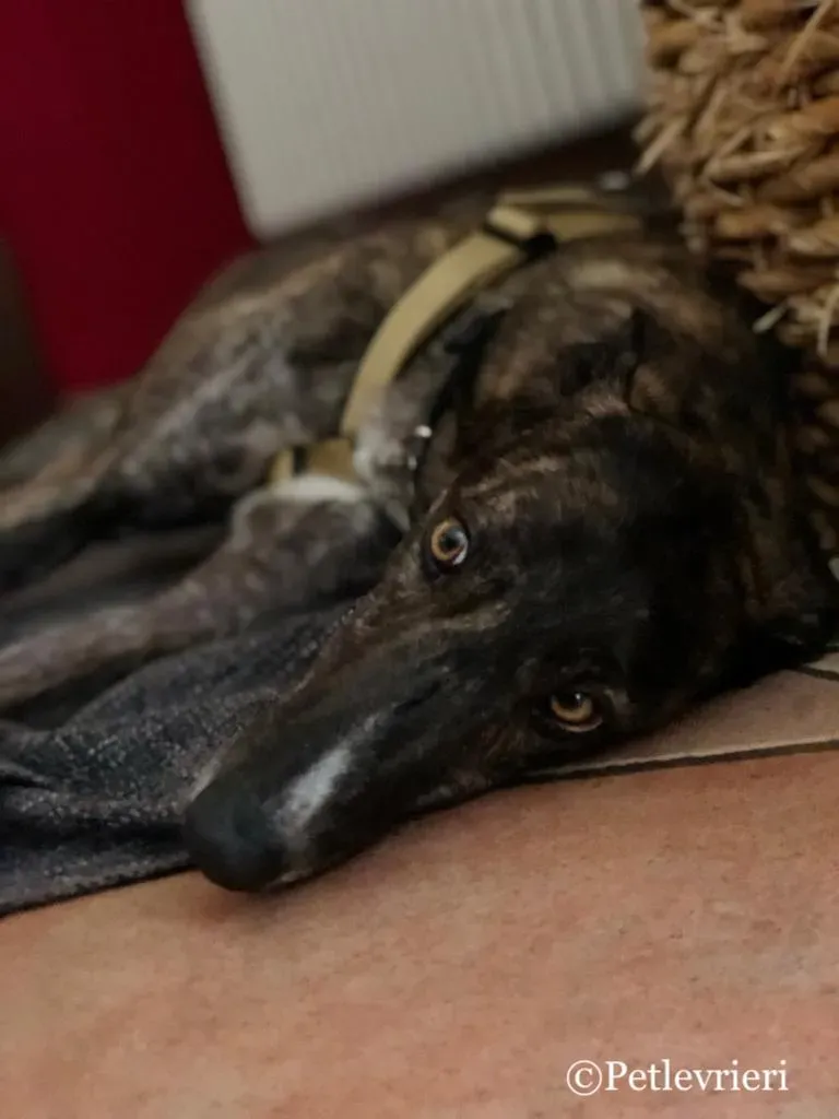 WhatsApp Image 2019 05 04 at 12.33.094