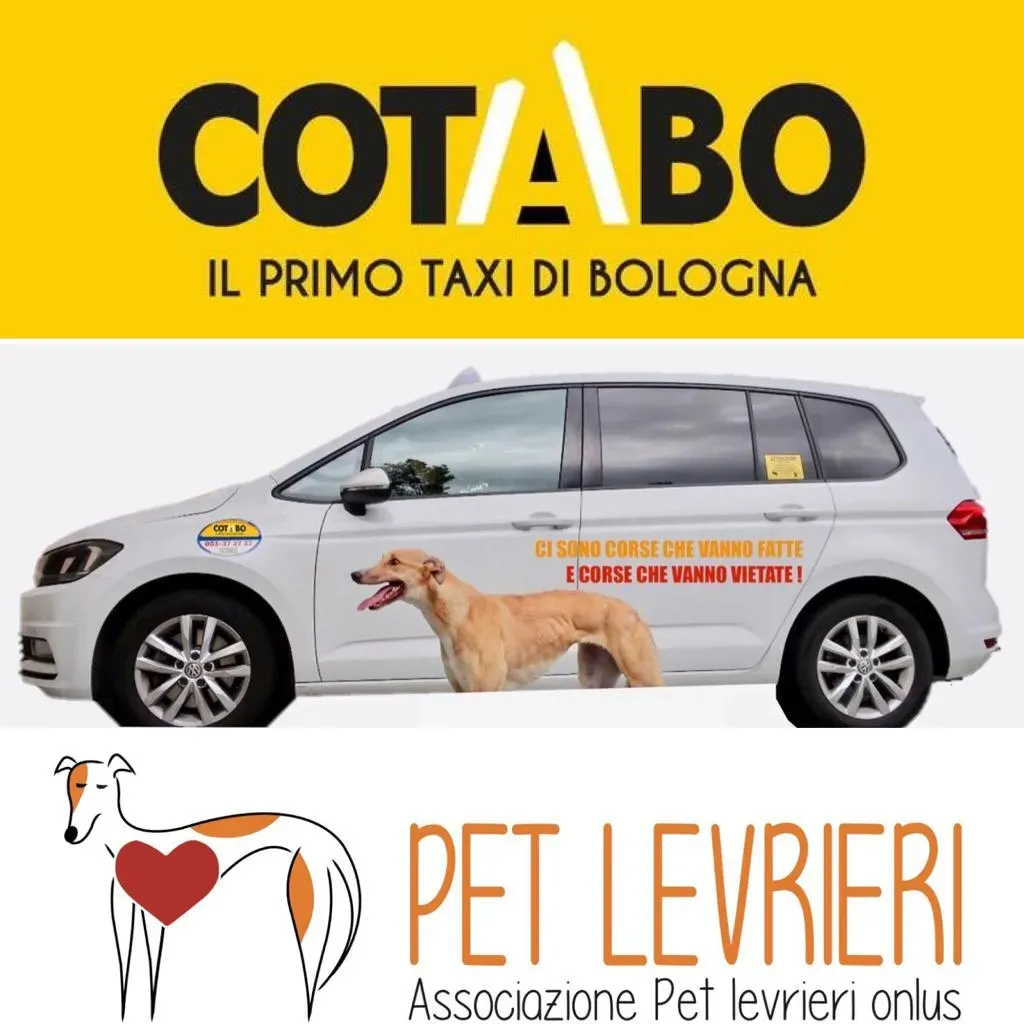 WhatsApp Image 2019 07 17 at 11.34.12