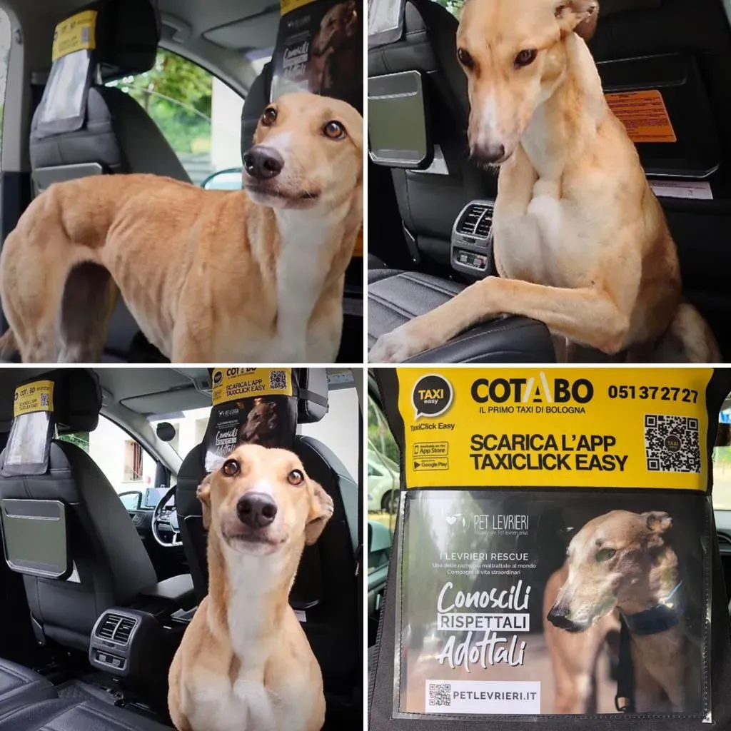 WhatsApp Image 2019 07 17 at 12.02.37