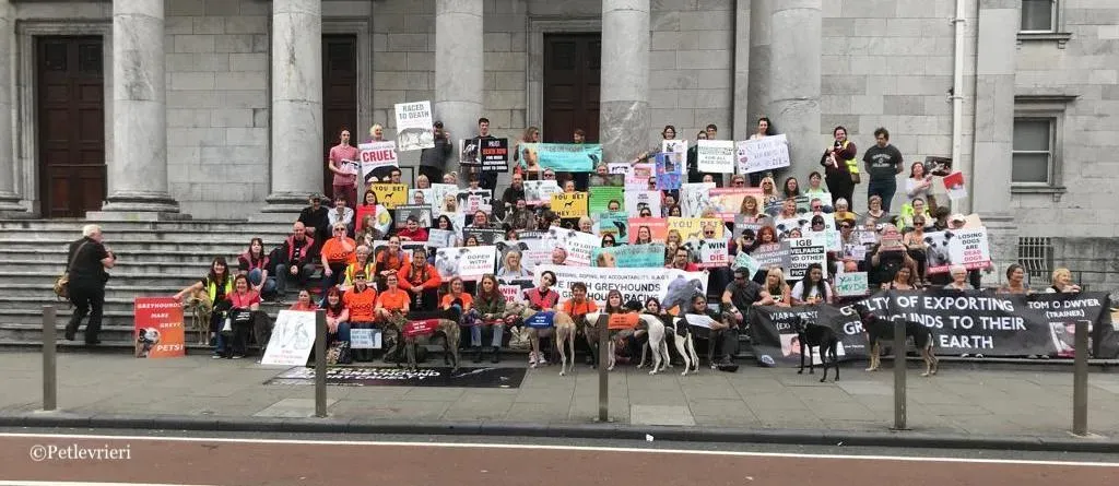 WhatsApp Image 2019 07 20 at 15.41.06 2