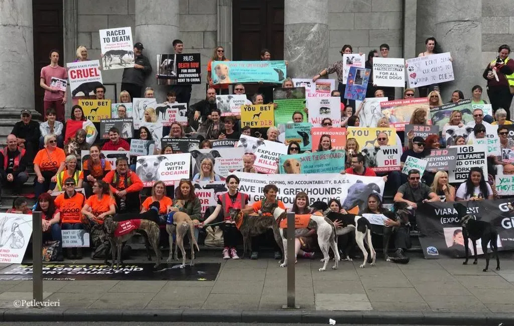 WhatsApp Image 2019 07 20 at 15.41.061 1