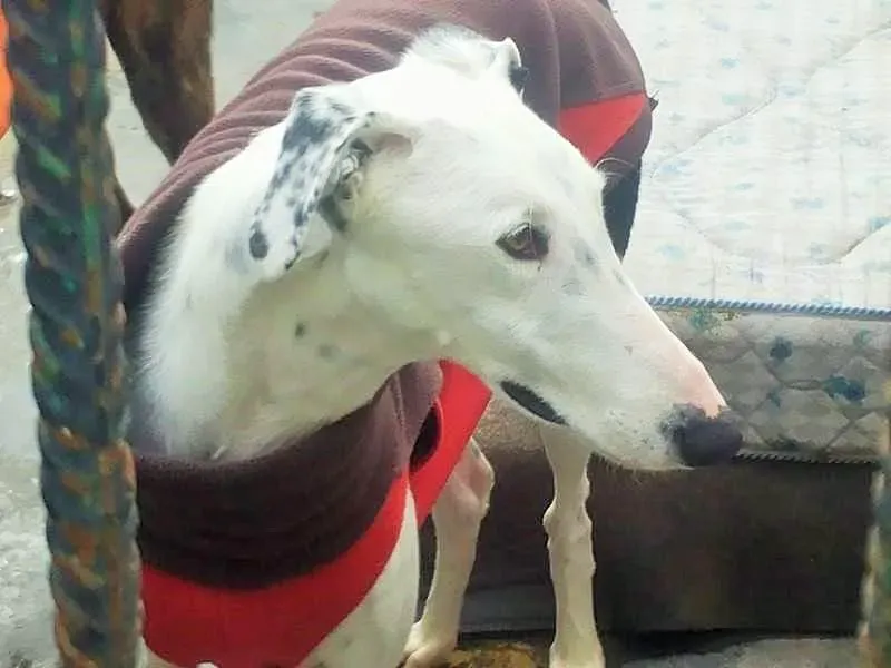 WhatsApp Image 2019 08 13 at 01.28.28