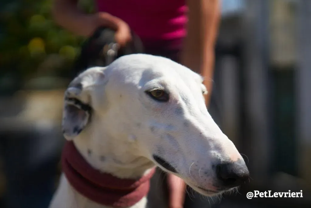 WhatsApp Image 2019 08 13 at 01.28.282