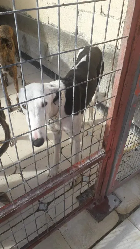 WhatsApp Image 2019 08 13 at 01.28.291