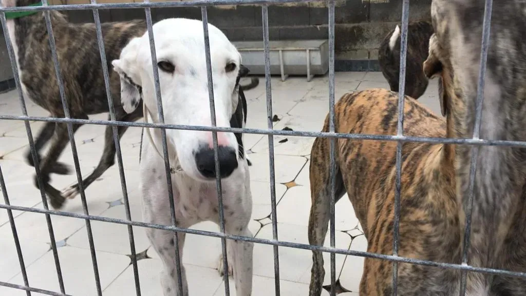 WhatsApp Image 2019 08 13 at 01.28.292