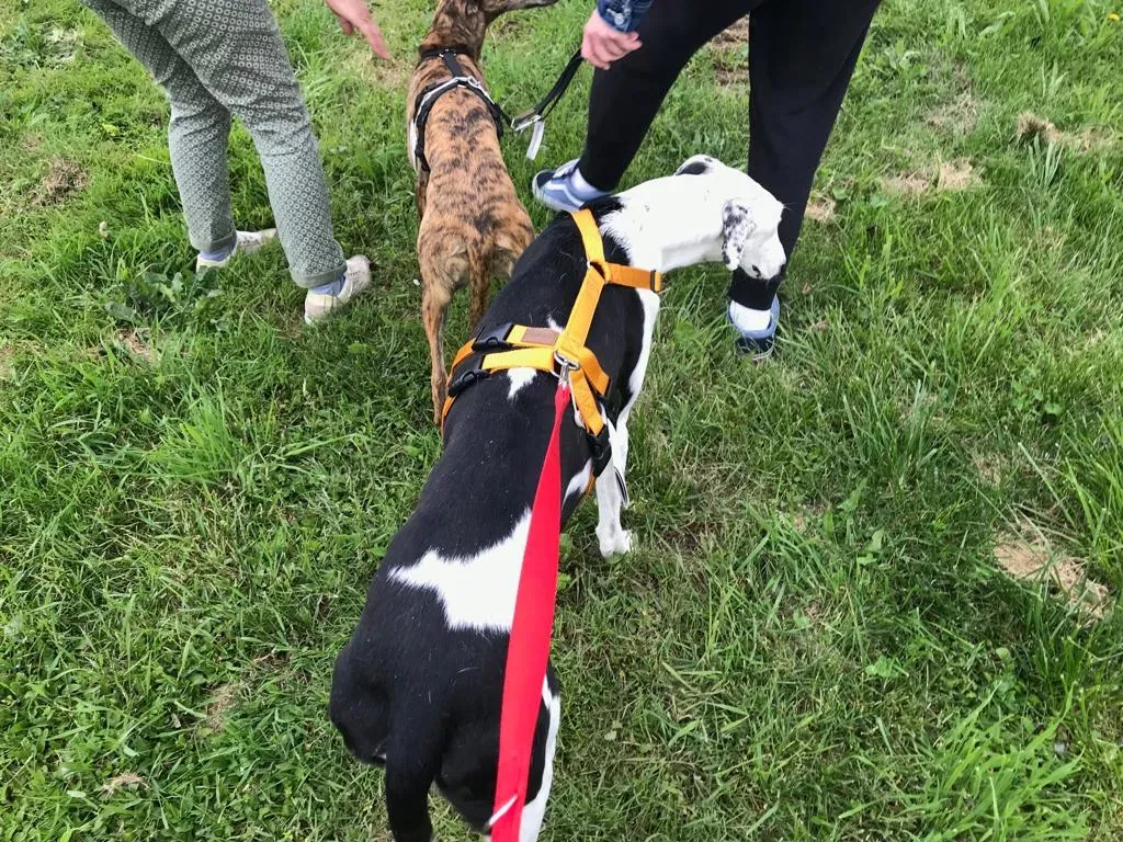 WhatsApp Image 2019 08 13 at 01.28.49