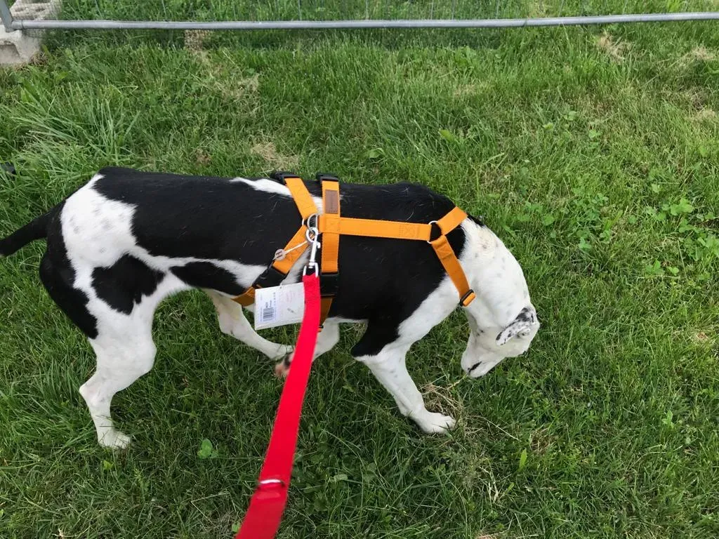 WhatsApp Image 2019 08 13 at 01.28.491