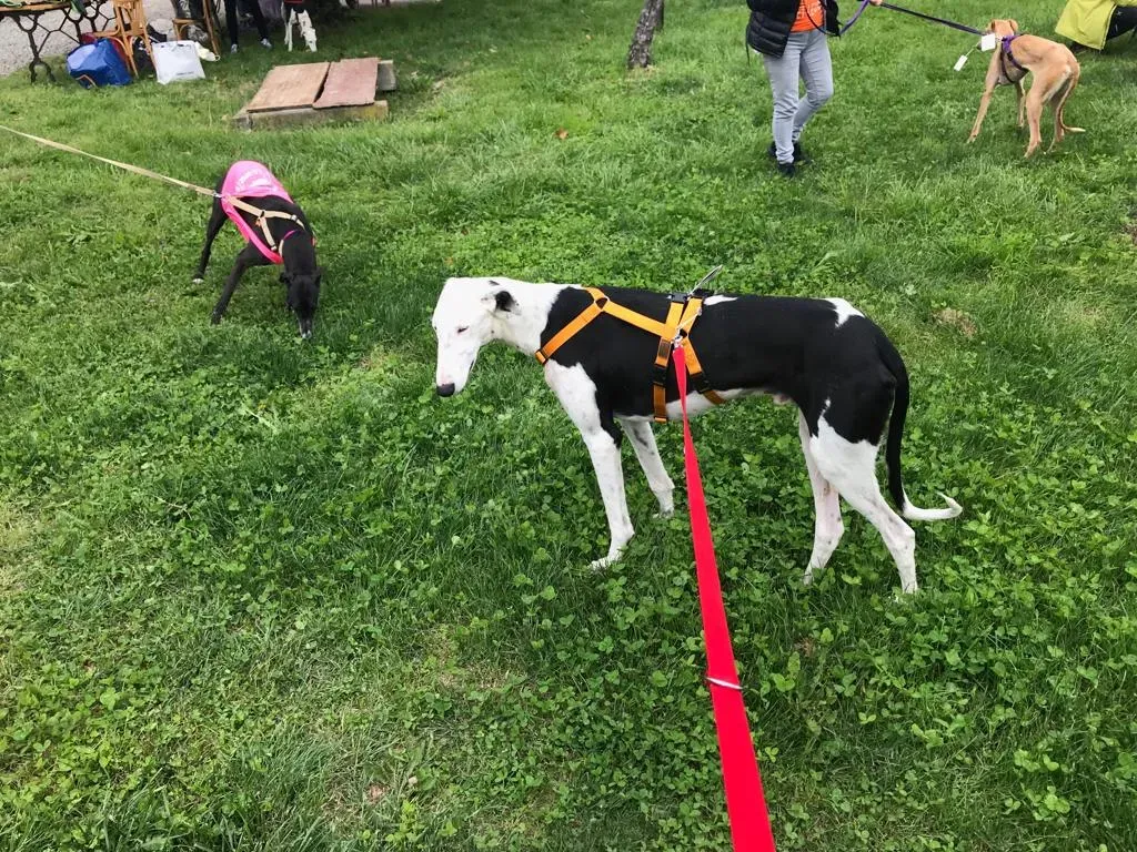 WhatsApp Image 2019 08 13 at 01.28.492