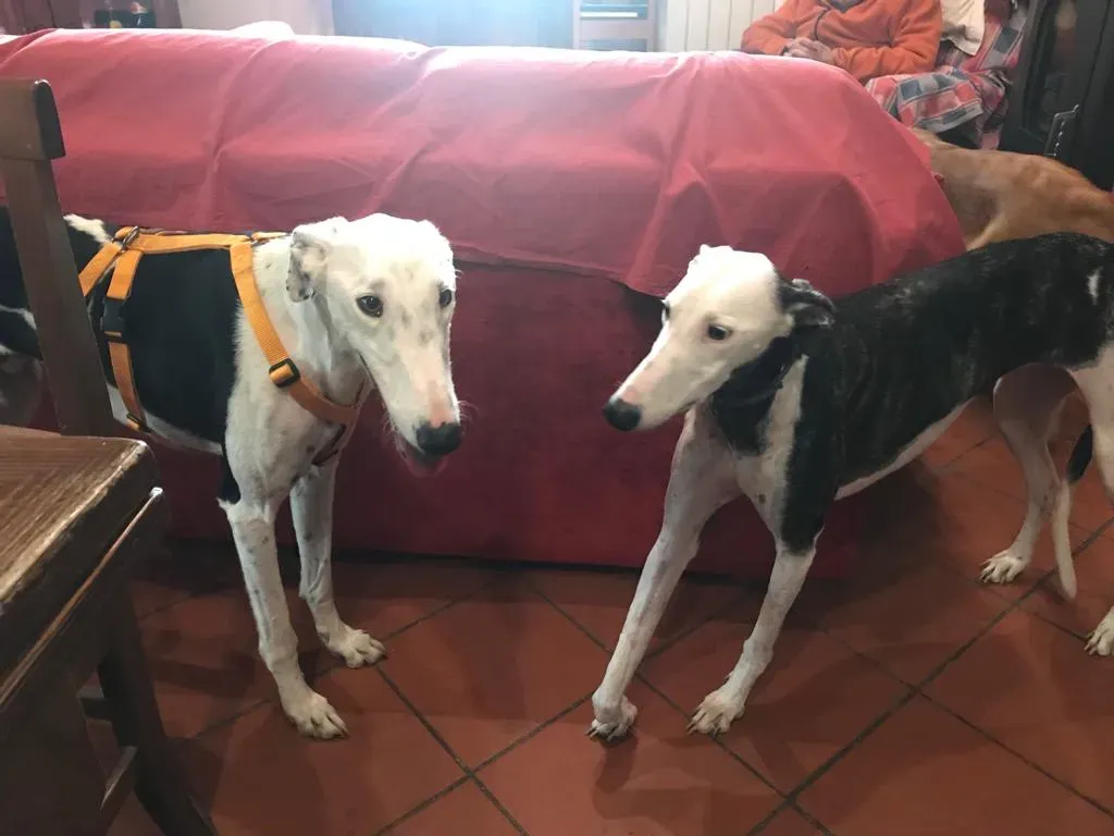 WhatsApp Image 2019 08 13 at 01.28.493