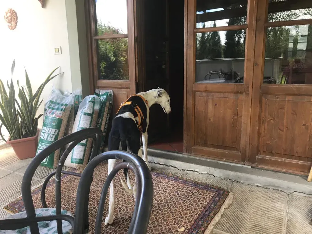 WhatsApp Image 2019 08 13 at 01.28.50