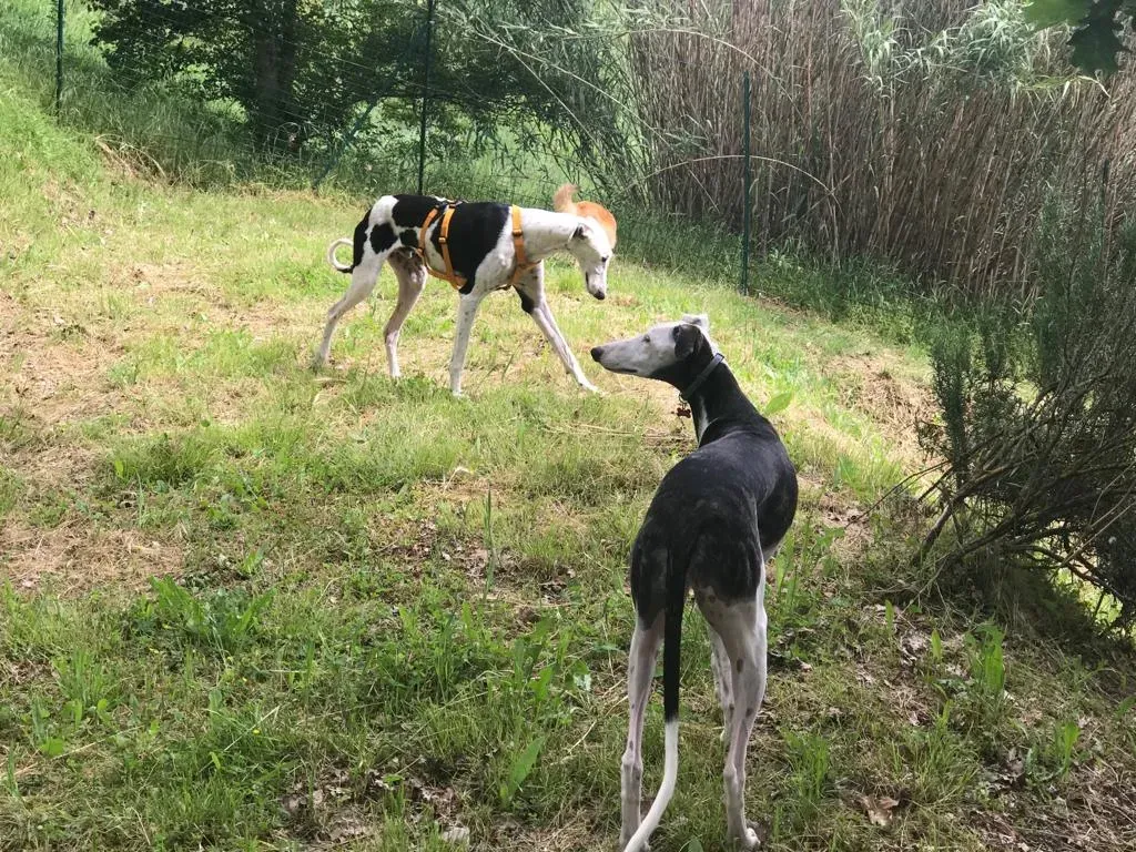 WhatsApp Image 2019 08 13 at 01.28.53