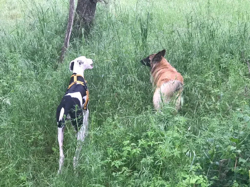 WhatsApp Image 2019 08 13 at 01.28.531