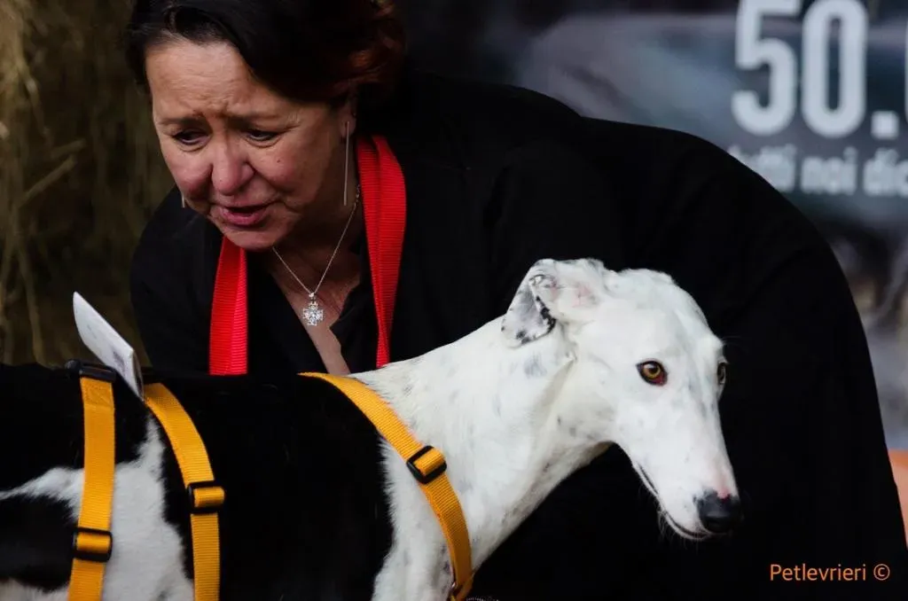 WhatsApp Image 2019 08 13 at 01.28.532