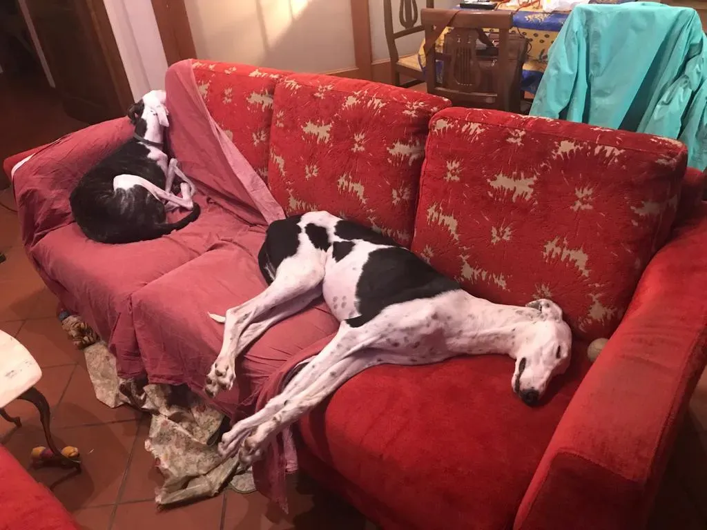 WhatsApp Image 2019 08 13 at 01.28.533