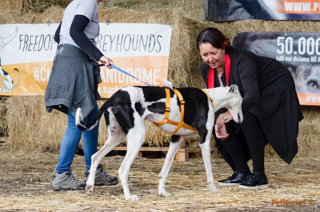 WhatsApp Image 2019 08 13 at 01.28.534