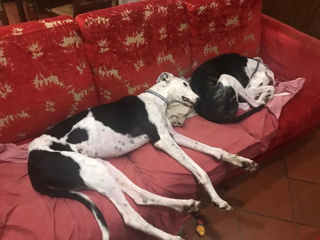 WhatsApp Image 2019 08 13 at 01.28.535