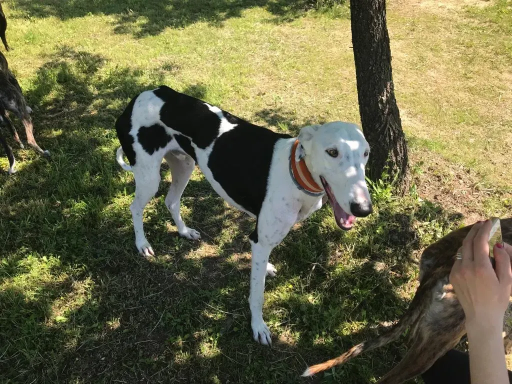 WhatsApp Image 2019 08 13 at 01.31.21