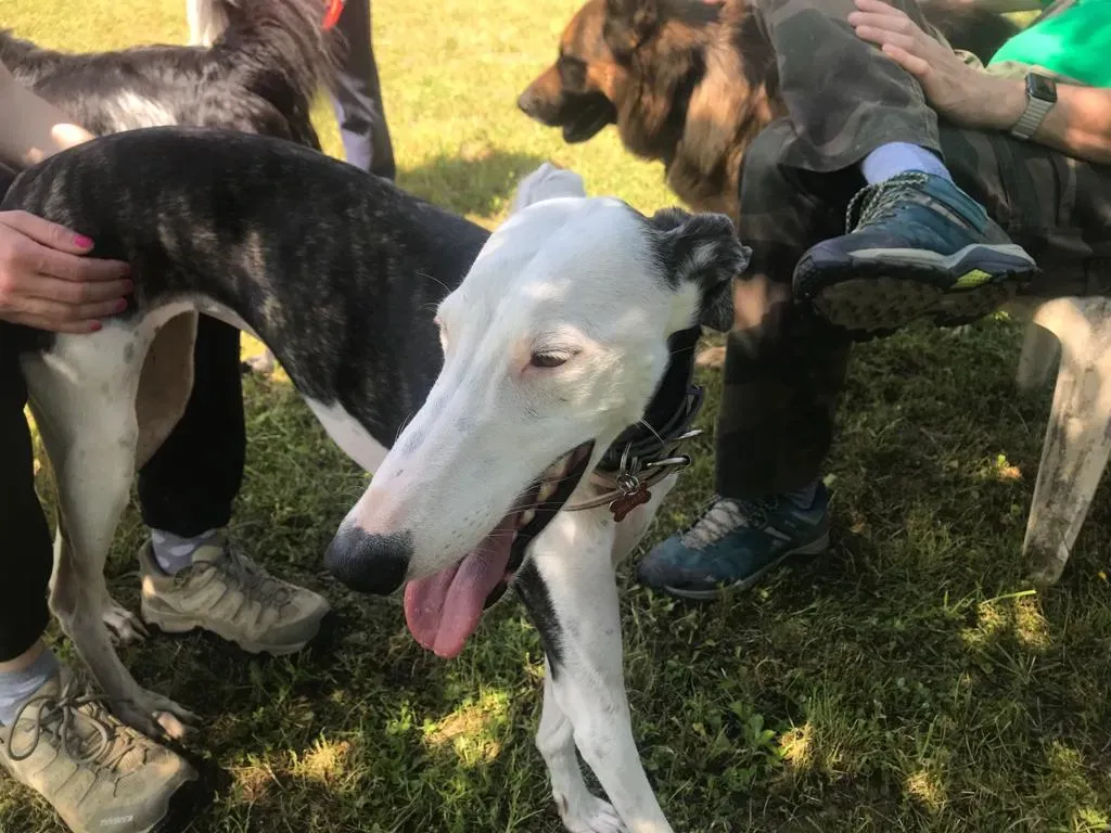 WhatsApp Image 2019 08 13 at 01.31.211