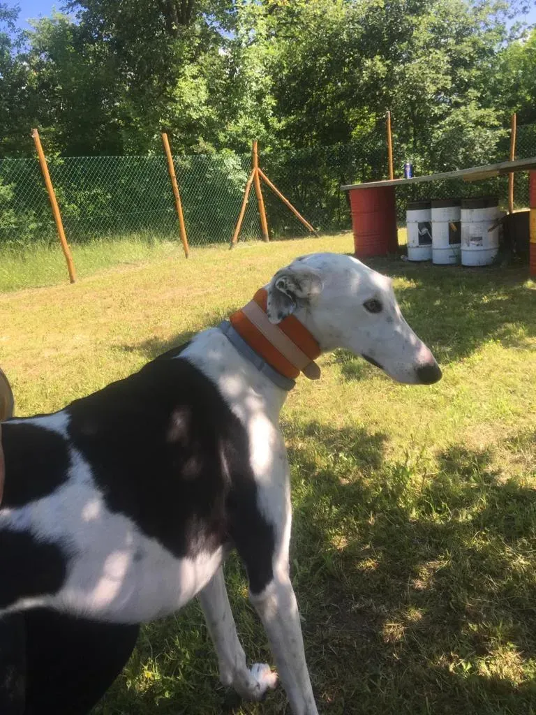 WhatsApp Image 2019 08 13 at 01.31.212