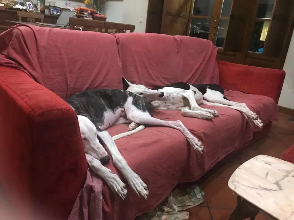 WhatsApp Image 2019 08 13 at 01.31.213