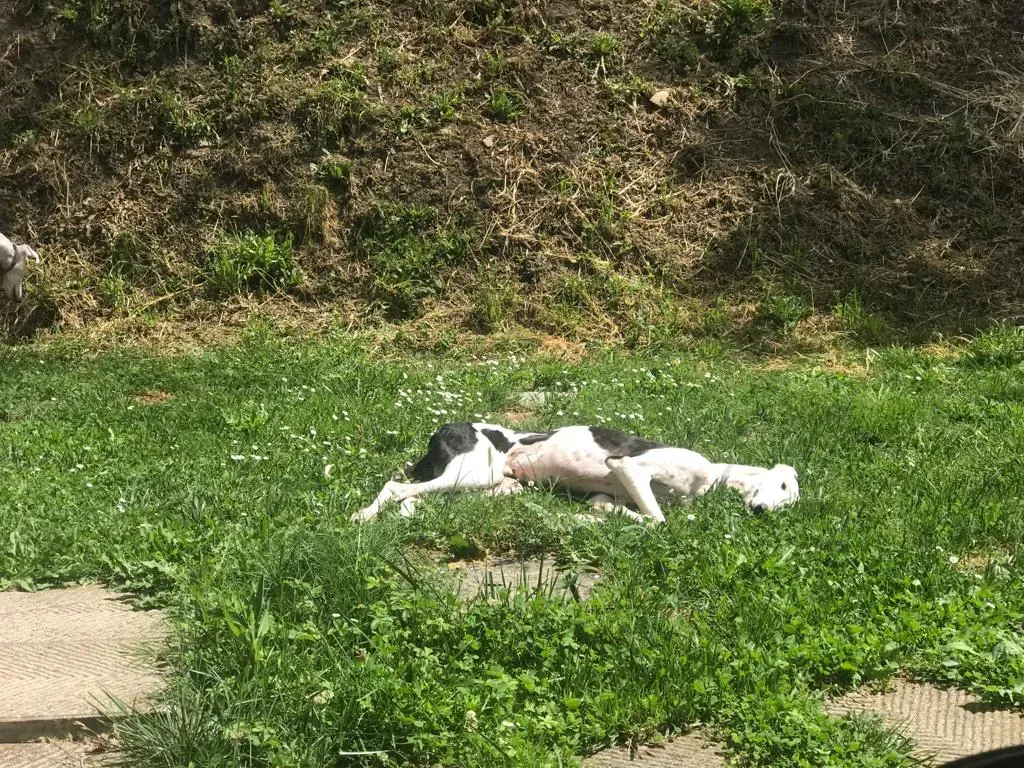 WhatsApp Image 2019 08 13 at 01.31.28