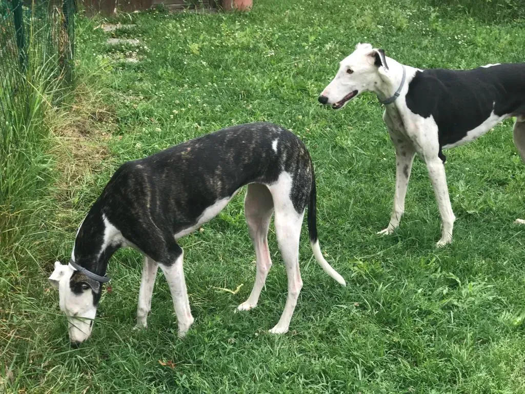 WhatsApp Image 2019 08 13 at 01.31.281