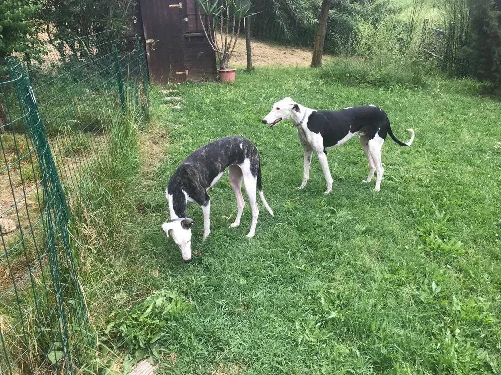 WhatsApp Image 2019 08 13 at 01.31.282