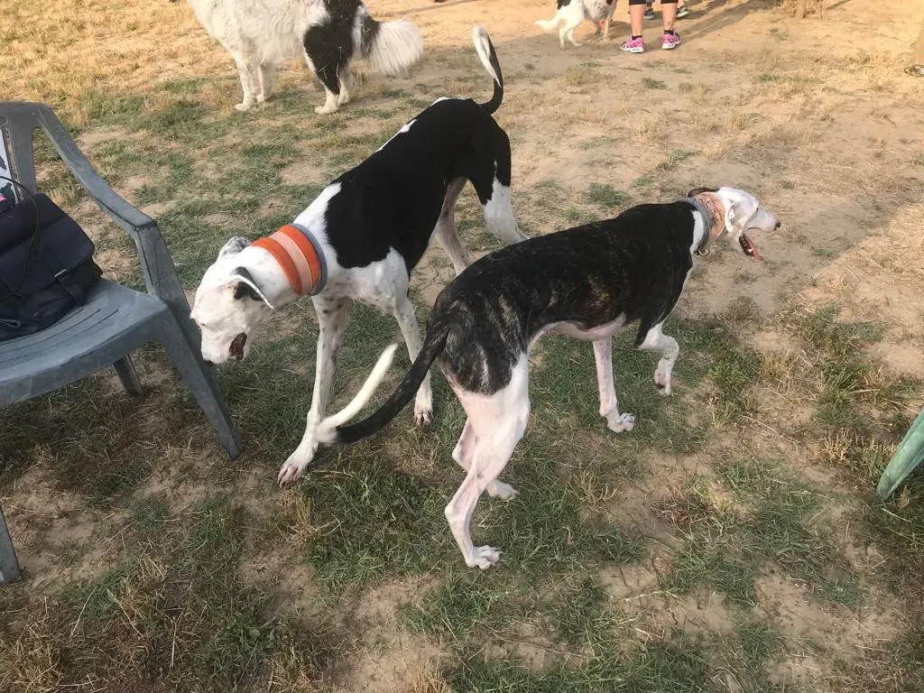 WhatsApp Image 2019 08 13 at 01.31.283