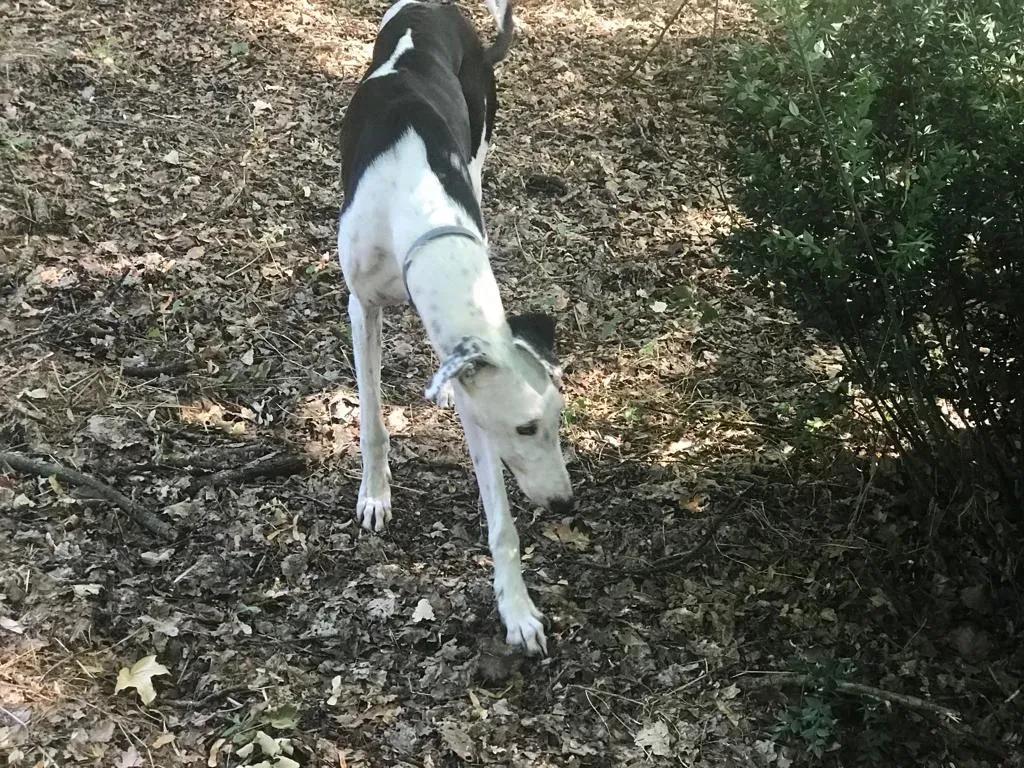 WhatsApp Image 2019 08 13 at 01.31.29