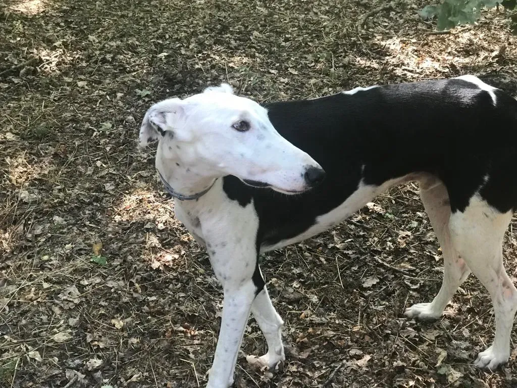 WhatsApp Image 2019 08 13 at 01.31.291