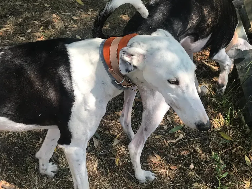 WhatsApp Image 2019 08 13 at 01.31.292