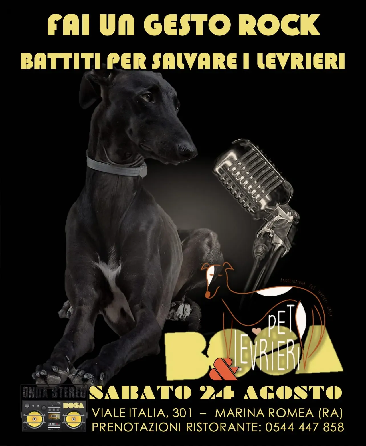 WhatsApp Image 2019 08 21 at 15.32.15