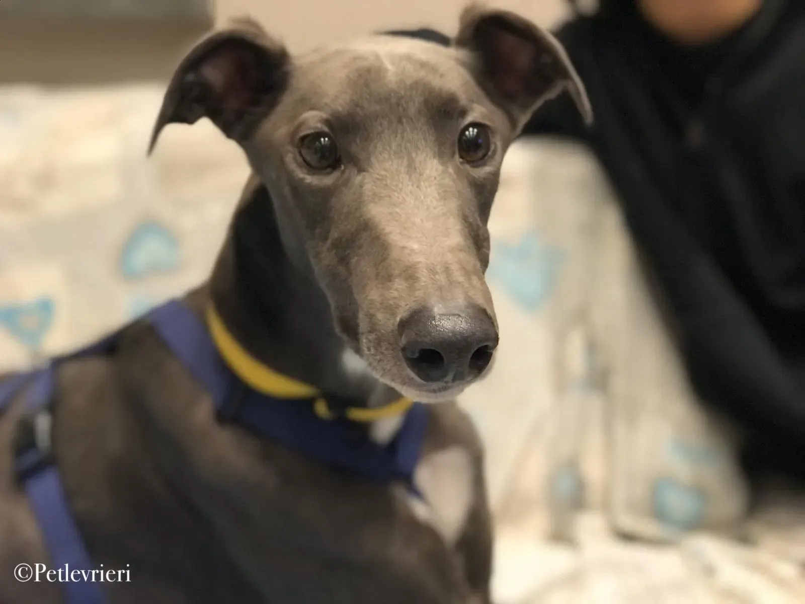 WhatsApp Image 2019 12 25 at 20.17.20