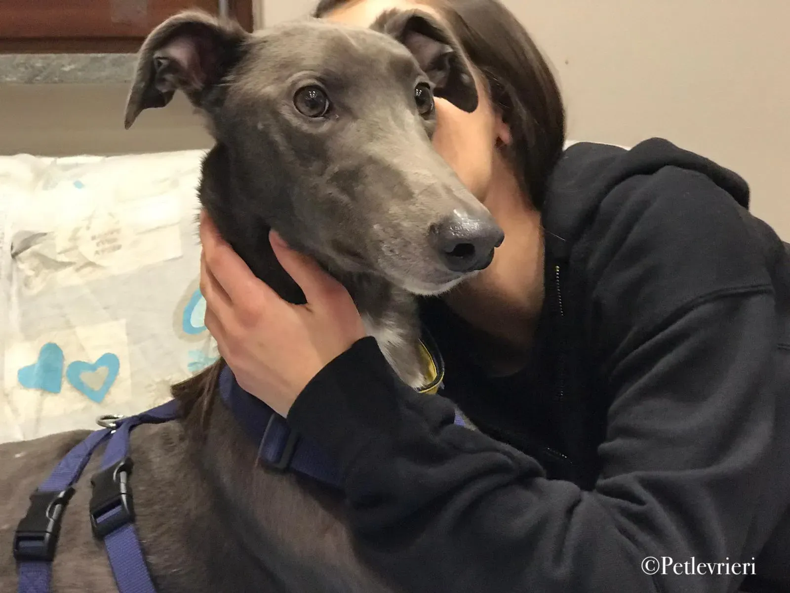 WhatsApp Image 2019 12 25 at 20.17.28