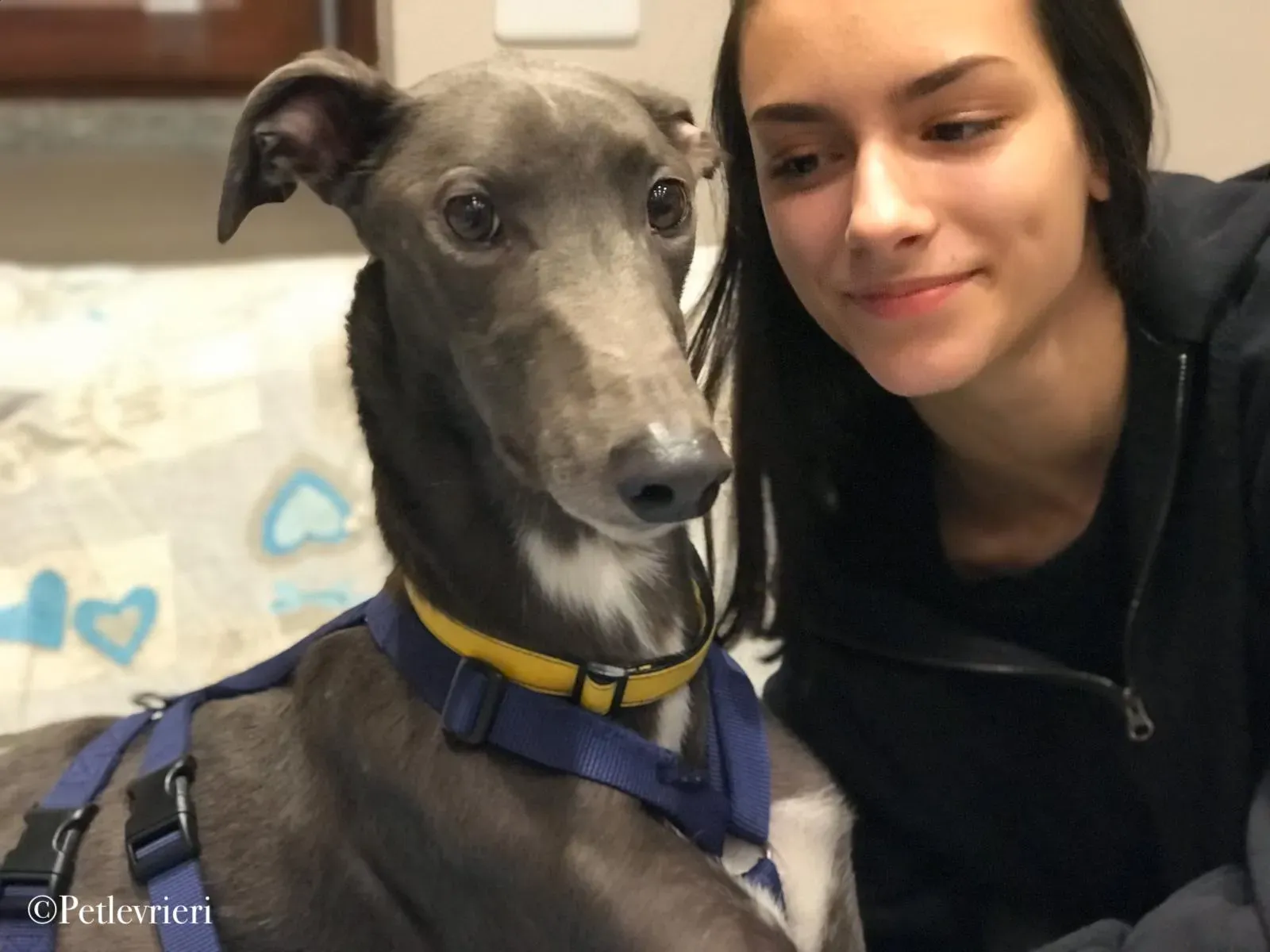 WhatsApp Image 2019 12 25 at 20.17.34