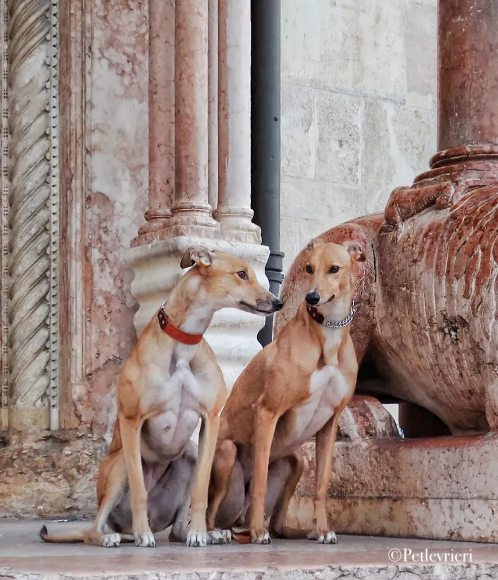 WhatsApp Image 2019 12 26 at 11.23.54