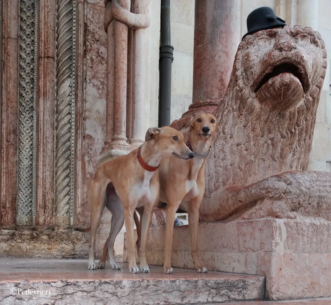 WhatsApp Image 2019 12 26 at 16.38.27