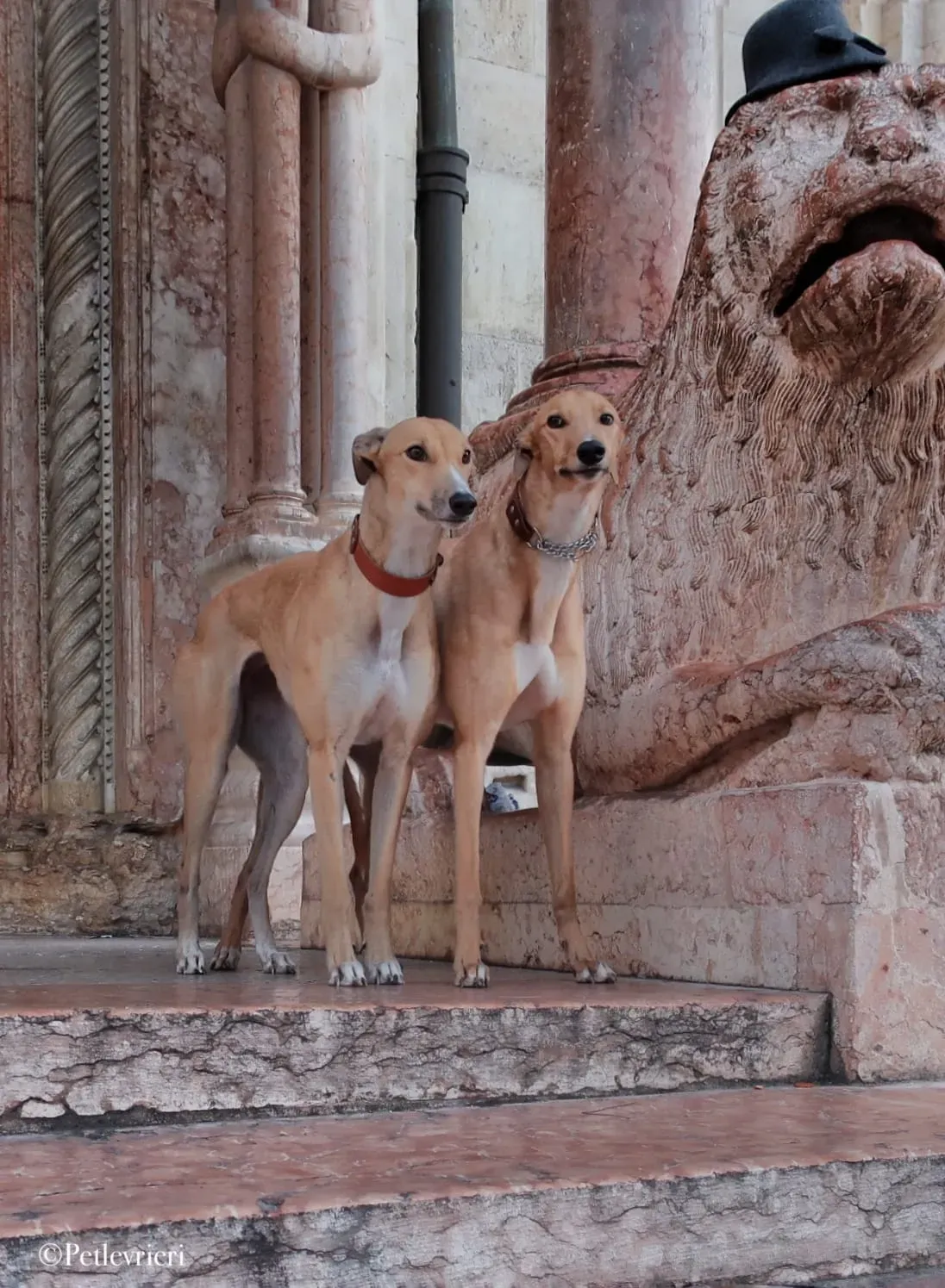 WhatsApp Image 2019 12 26 at 16.38.271