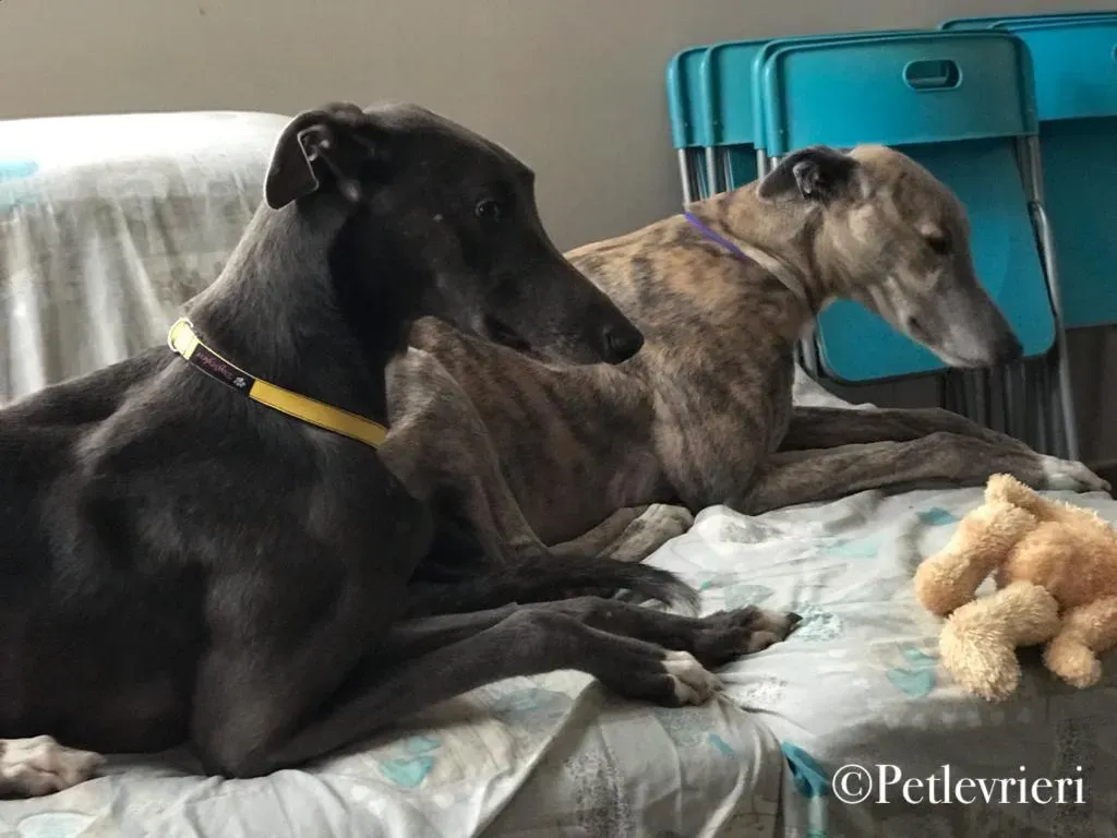 WhatsApp Image 2019 12 27 at 10.15.15