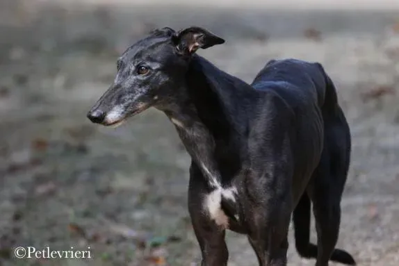 WhatsApp Image 2020 03 13 at 22.10.08