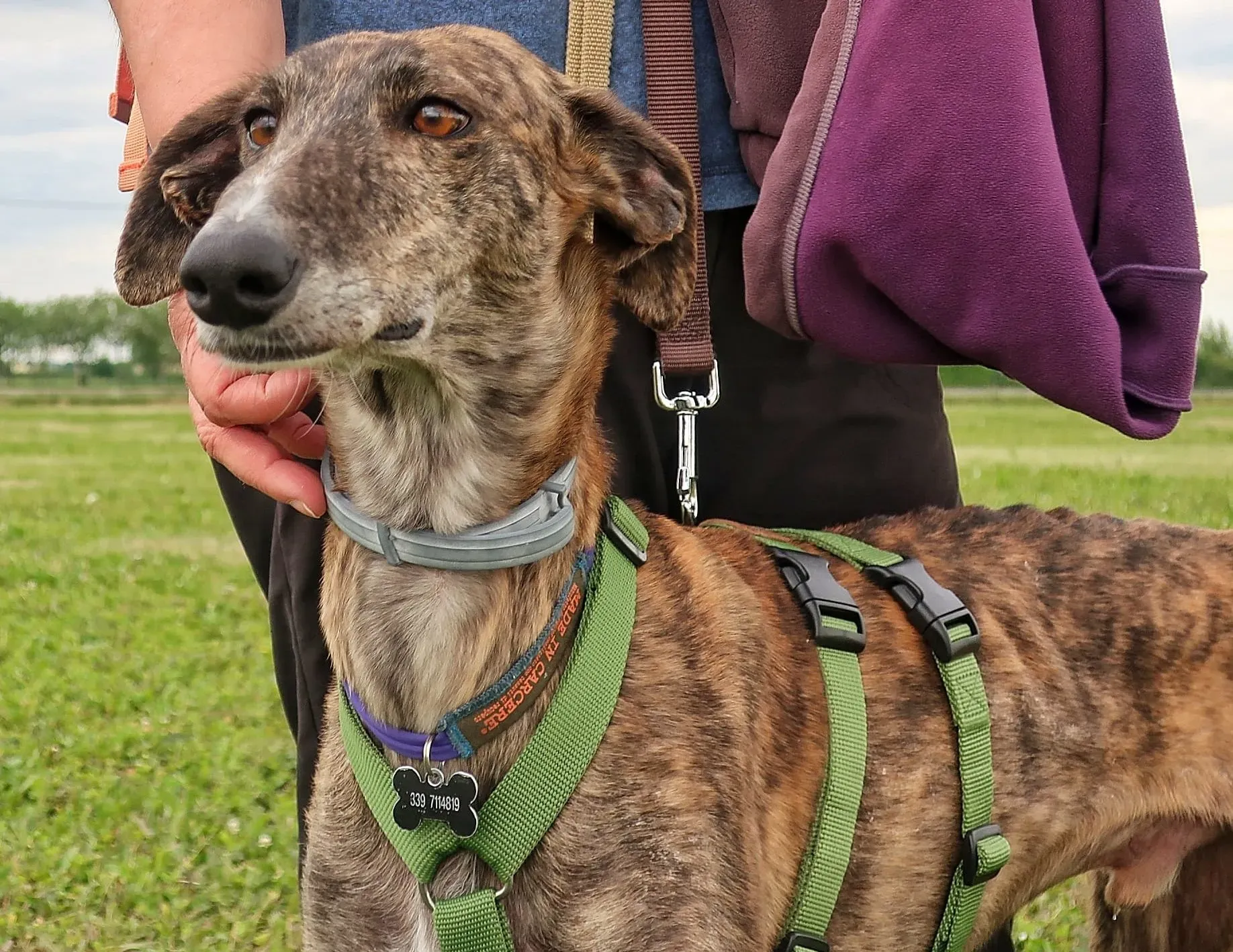 WhatsApp Image 2021 05 22 at 21.22.00 2 e1621760848478