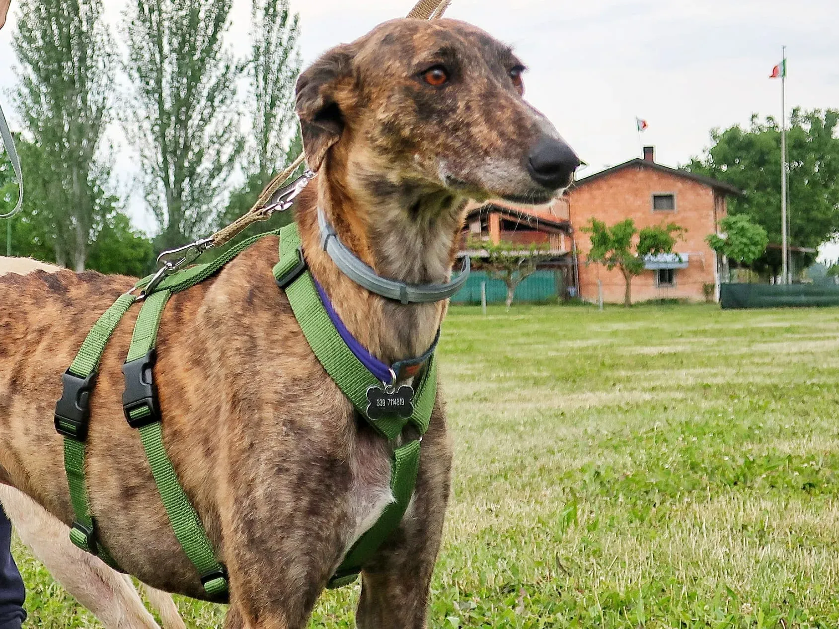 WhatsApp Image 2021 05 22 at 21.22.00 3