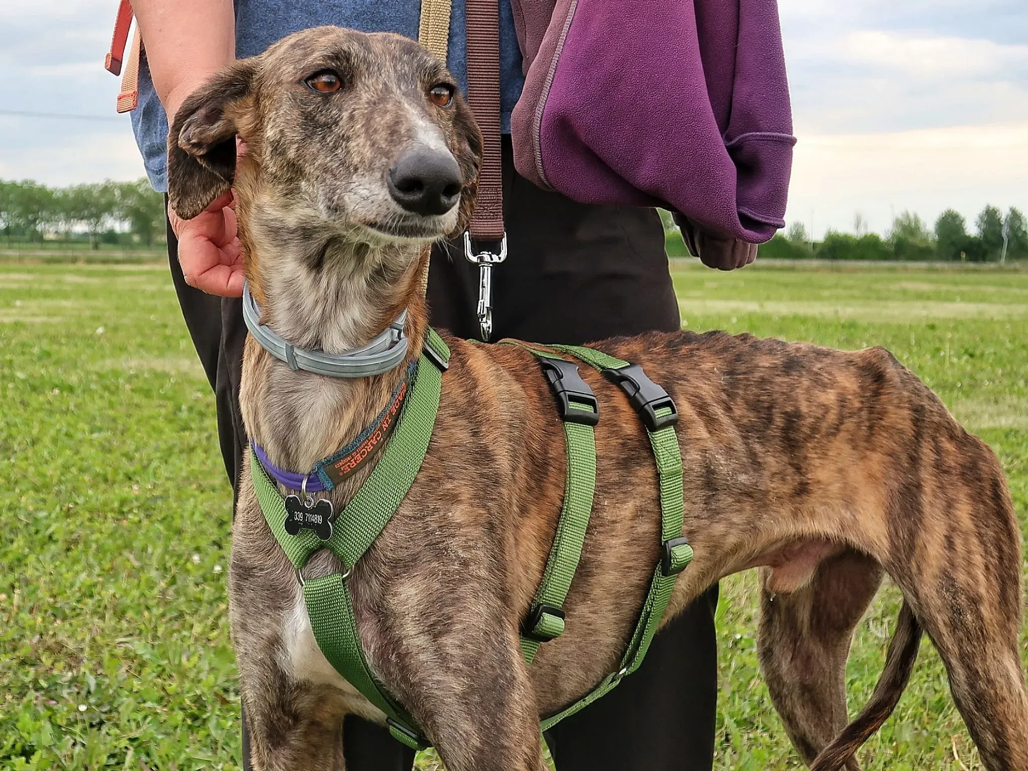 WhatsApp Image 2021 05 22 at 21.22.00