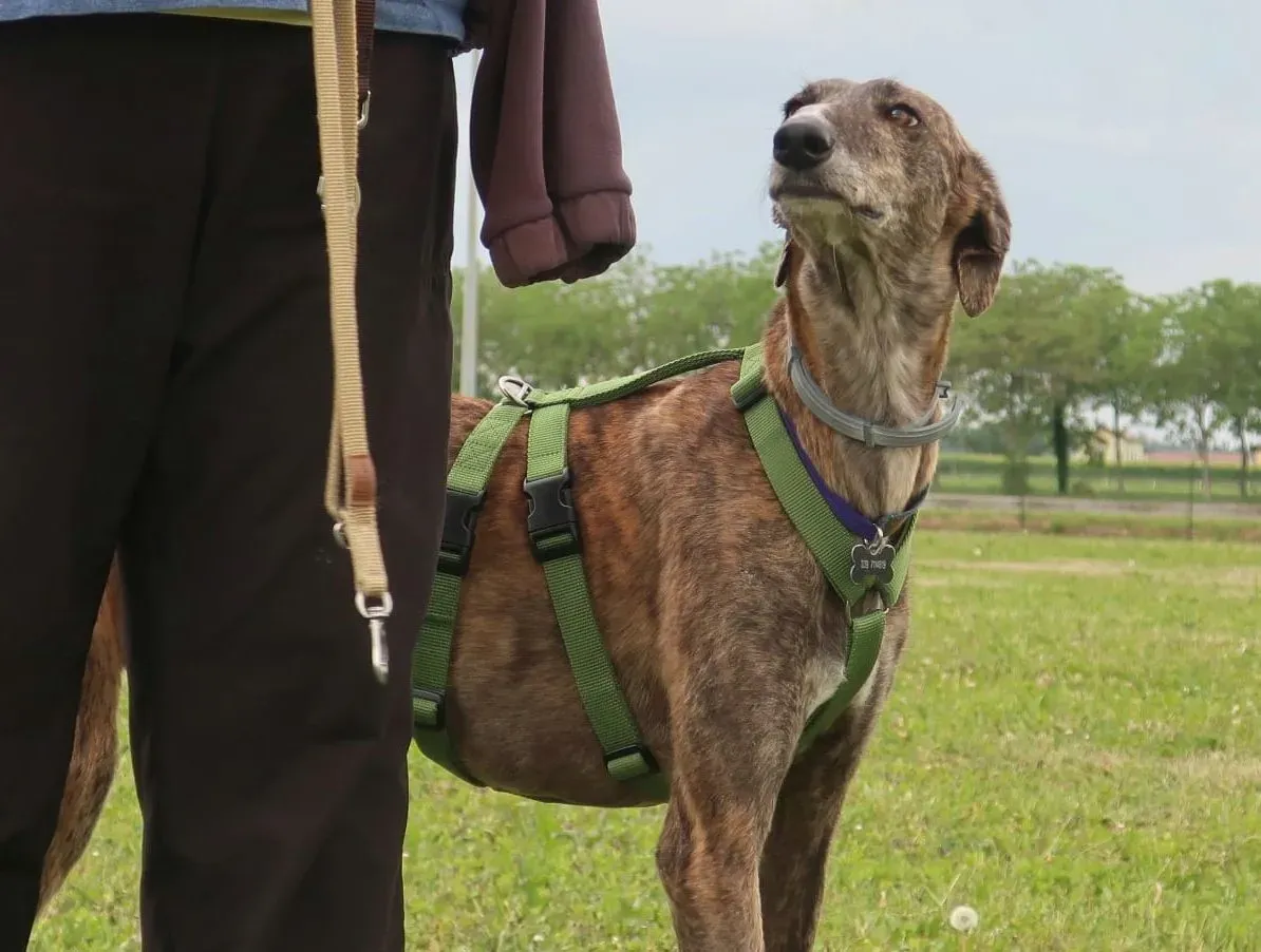 WhatsApp Image 2021 05 22 at 21.22.01 10 e1621760793457