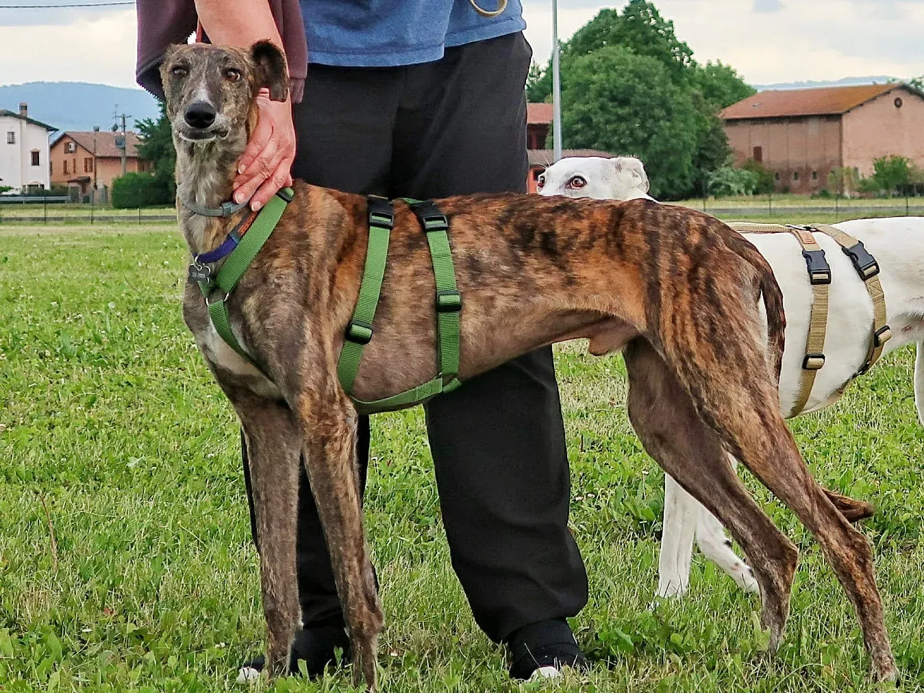 WhatsApp Image 2021 05 22 at 21.22.01 3