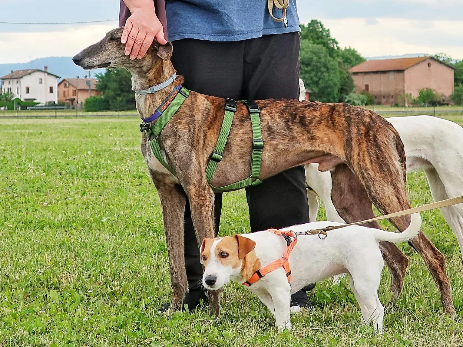 WhatsApp Image 2021 05 22 at 21.22.01 4