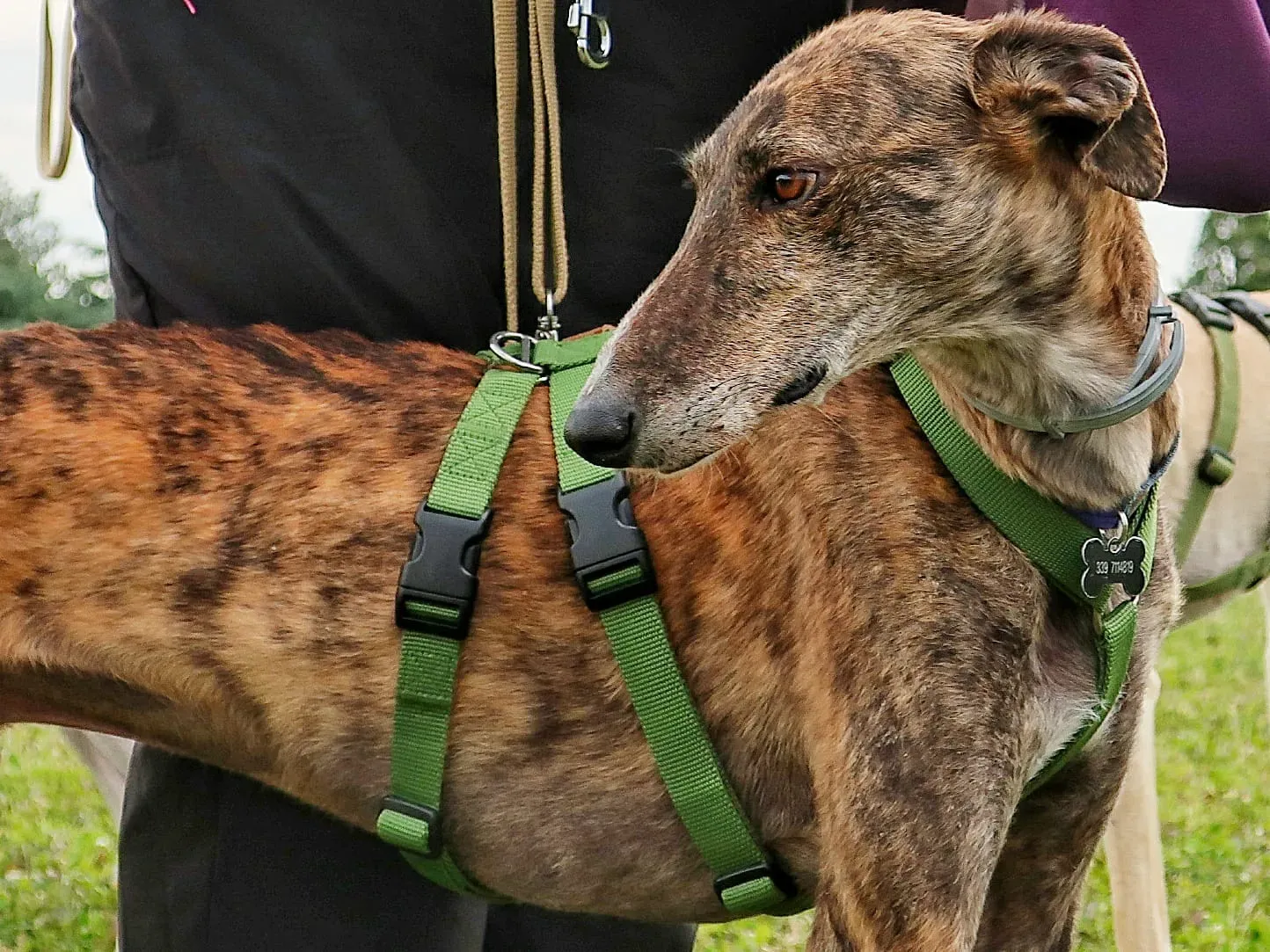 WhatsApp Image 2021 05 22 at 21.22.01 5