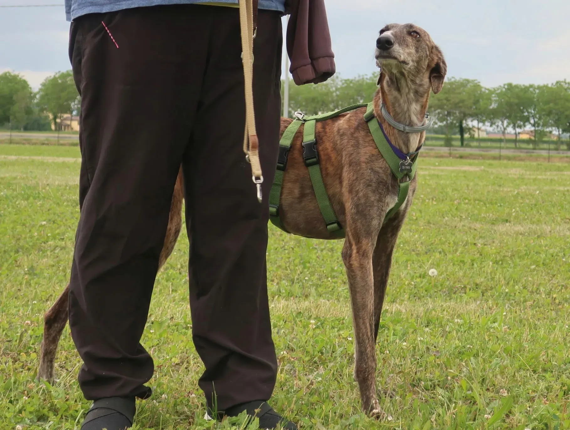 WhatsApp Image 2021 05 22 at 21.22.01 7